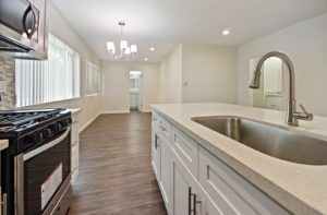 Fire Collection Apartments | The Palm @ Valley Glen interior kitchen