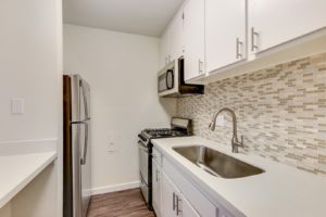 Fire Collection Apartments | The Palm @ Valley Glen interior kitchen