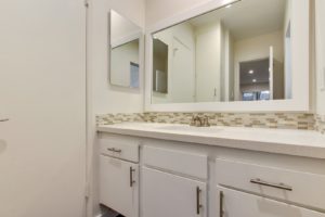 Fire Collection Apartments | The Palm @ Valley Glen interior bathroom