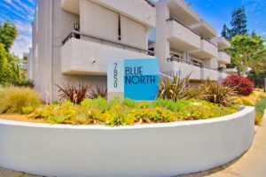 Fire Collection Apartments | Blue North