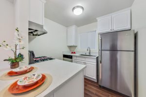 Fire Collection Apartments | Aqua North interior kitchen